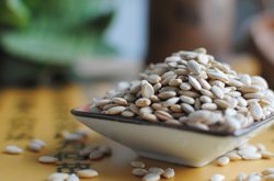 清肺化痰 冬瓜子的功效與作用和吃法介紹