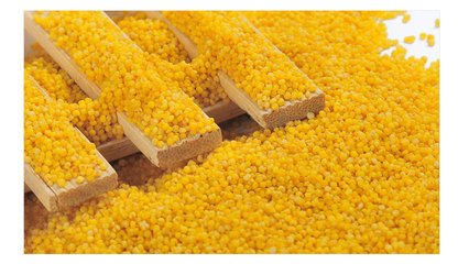 小米的營養(yǎng)價值及功效，小米最養(yǎng)生