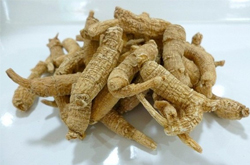 大補元氣 人參的功效和作用及吃法介紹