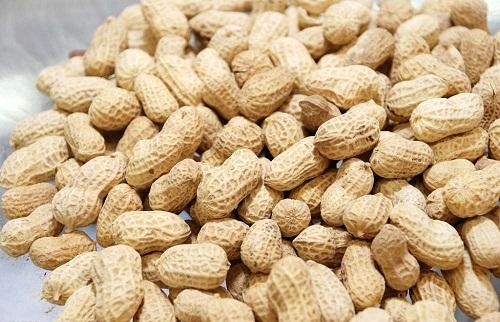 5種秋季養(yǎng)生菜讓你更加美麗