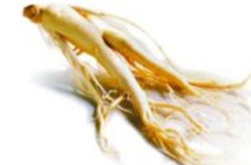 高麗參的副作用  你知道多少