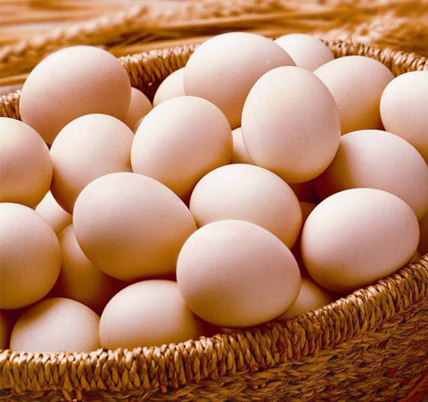 健腦益智 雞蛋的營養(yǎng)價值和功效介紹