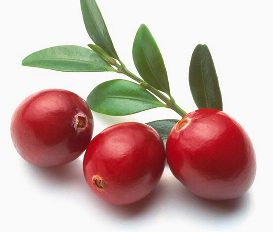 蔓越莓作用  養(yǎng)顏美容，維持肌膚年輕健康