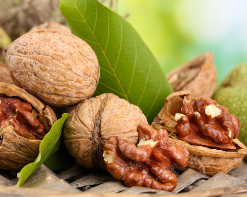 胡桃肉的應(yīng)用價值