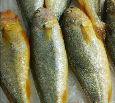 小黃魚的營養(yǎng)價(jià)值   你都記下來了嗎