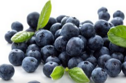 藍莓的功效與作用  增強記憶力