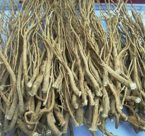 清熱散邪 柴胡的功效與副作用介紹