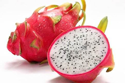 美容養(yǎng)顏 多吃火龍果的好處介紹