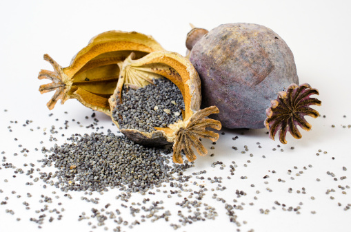 罌粟殼有什么作用 一般有六大類