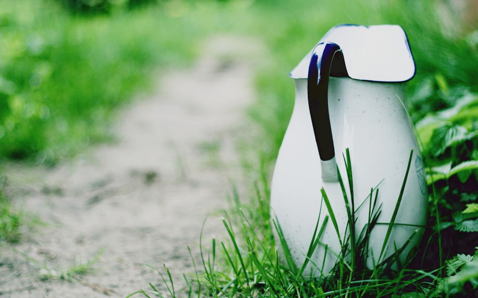 水壺水垢有什么危害 怎么才能完全清除干凈