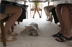 小腿肌肉萎縮 原因多多需注意