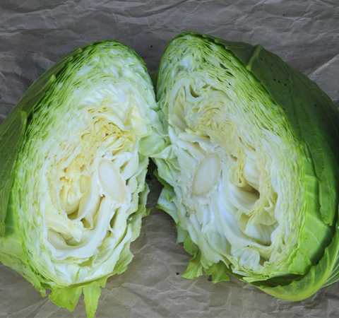 富含各種營養(yǎng)元素 卷心菜的營養(yǎng)價值介紹