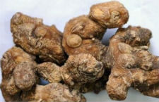 中藥黃精的作用 主要有9種