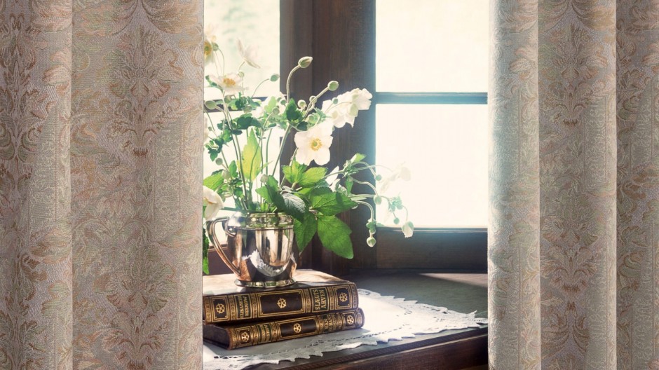 家中養(yǎng)什么花好 家里養(yǎng)花風(fēng)水要注意什么