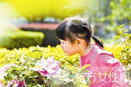 春天花粉過(guò)敏怎么辦 不妨試試這些小妙招