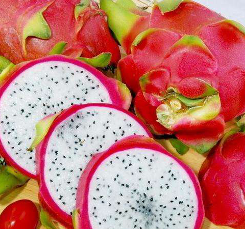 美容養(yǎng)顏 多吃火龍果的好處介紹