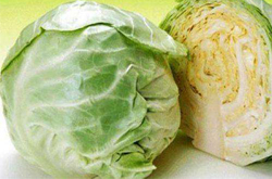 菜中之王 圓白菜的營(yíng)養(yǎng)價(jià)值和食用方法介紹