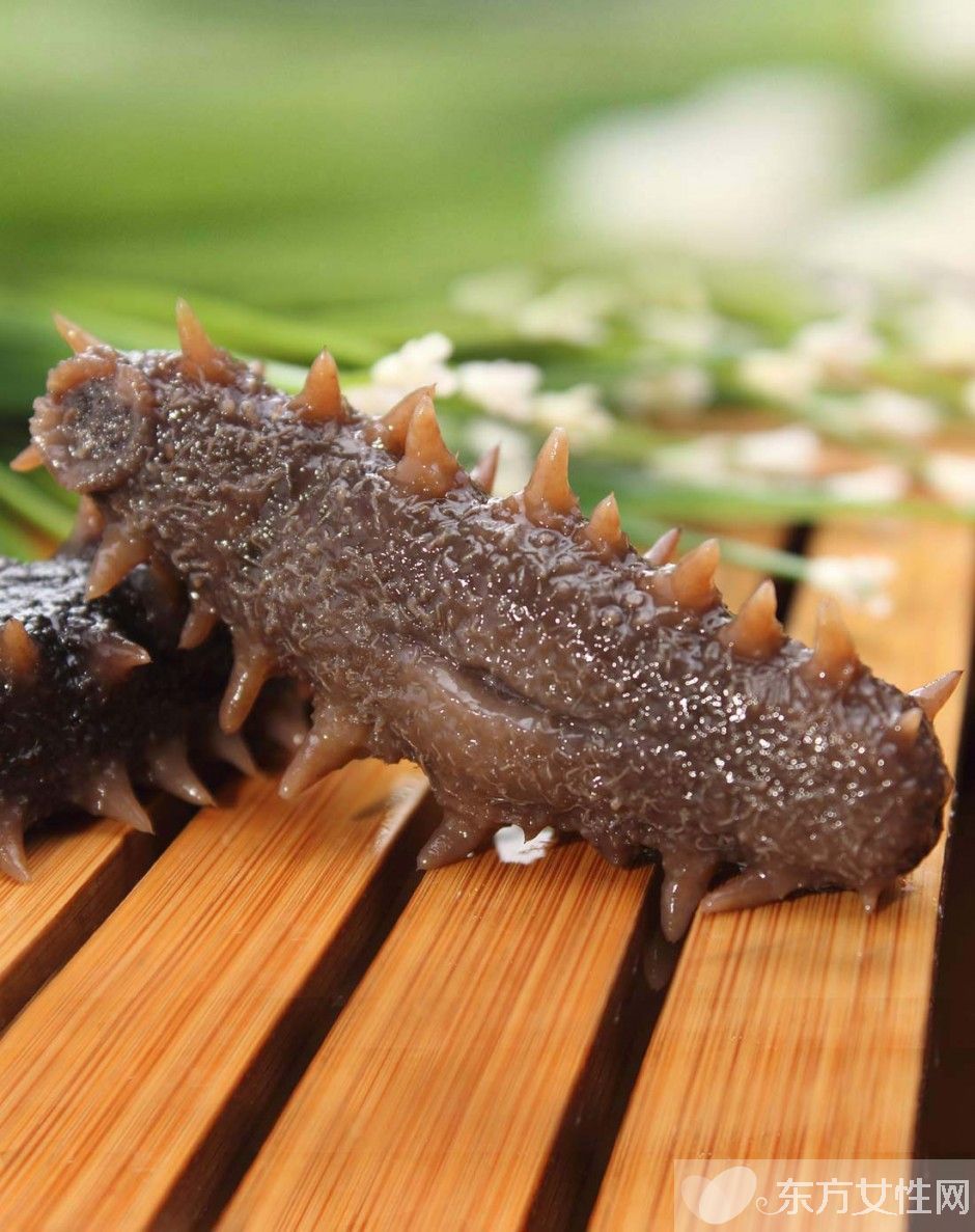 海參的功效是什么 盤點海參的十大治病功效