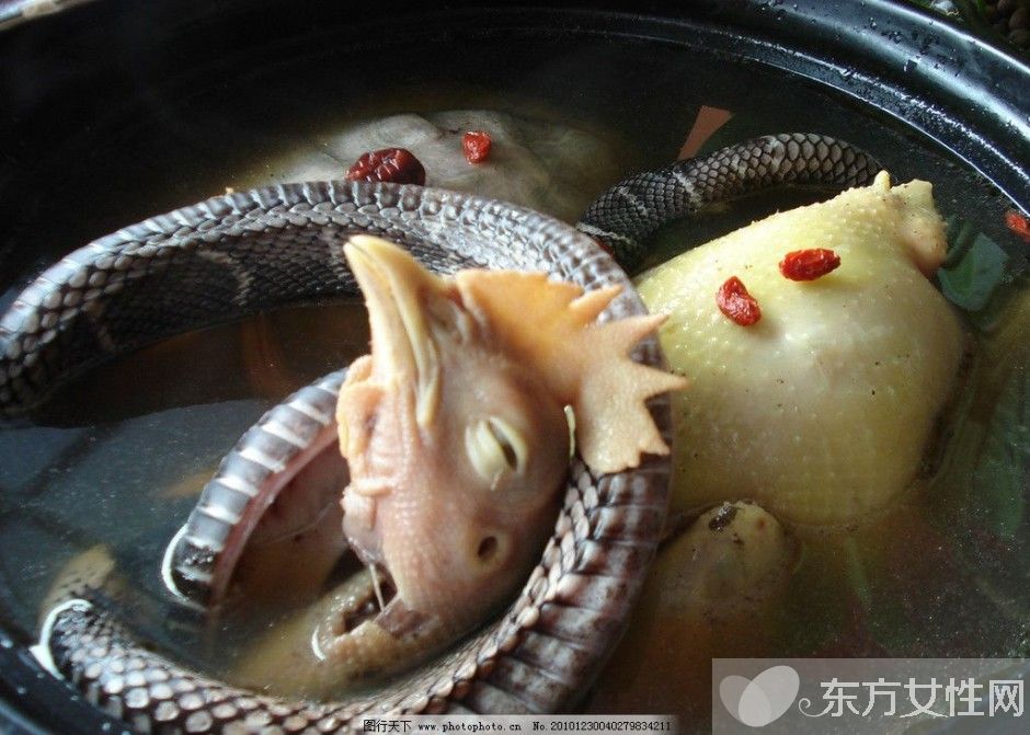 蛇湯的做法步驟是什么 蛇的這個(gè)東西一定不要吃