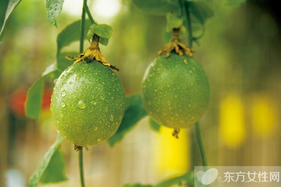 百香果汁的功效與作用 百香果怎么吃最好