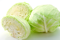 富含各種營(yíng)養(yǎng)元素 卷心菜的營(yíng)養(yǎng)價(jià)值介紹