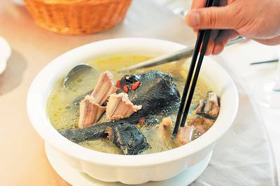 蛇湯的做法步驟是什么 蛇的這個(gè)東西一定不要吃