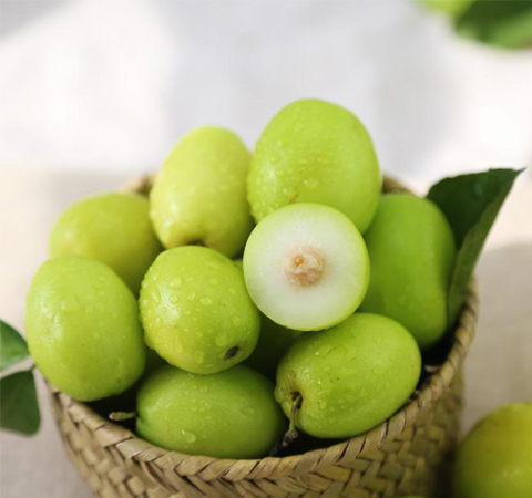 增強(qiáng)人體免疫力 青棗子的功效與作用介紹