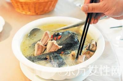 蛇湯的做法步驟是什么 蛇的這個(gè)東西一定不要吃