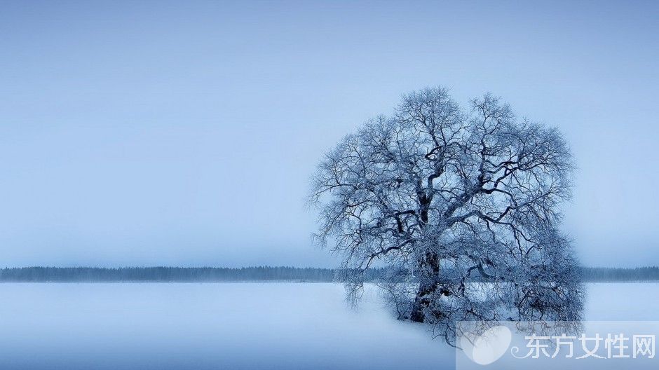 冬季飲食小常識 三類保健食物一定不得少