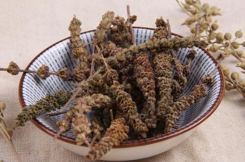 荊芥穗的功效與作用 解表散風消瘡