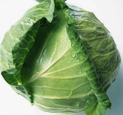 富含各種營養(yǎng)元素 卷心菜的營養(yǎng)價值介紹