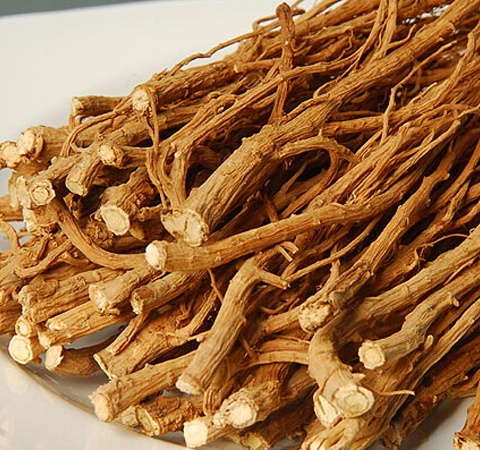 春柴胡的功效與作用及用藥禁忌介紹