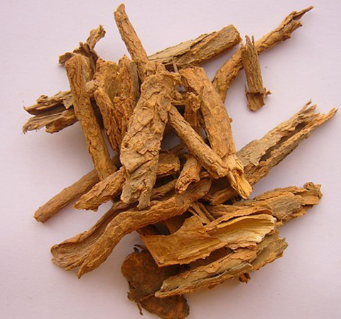 地骨皮的作用與功效及食用方法介紹