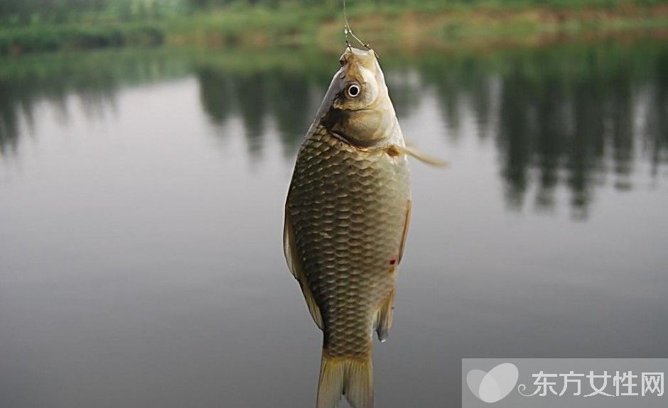 鯽魚的營養(yǎng)價值及功效 鯽魚怎么做好吃