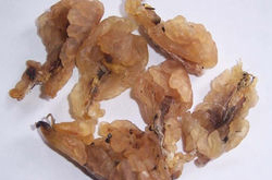 蛤蟆油的副作用及食用方法介紹