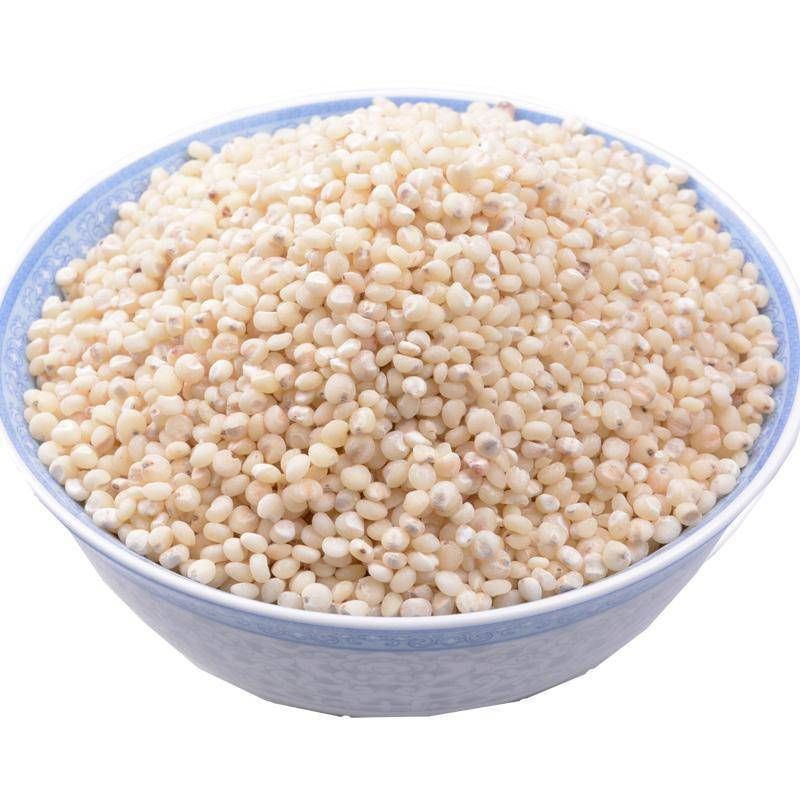 高粱米的做法公開(kāi) 高粱米的烹飪小技巧
