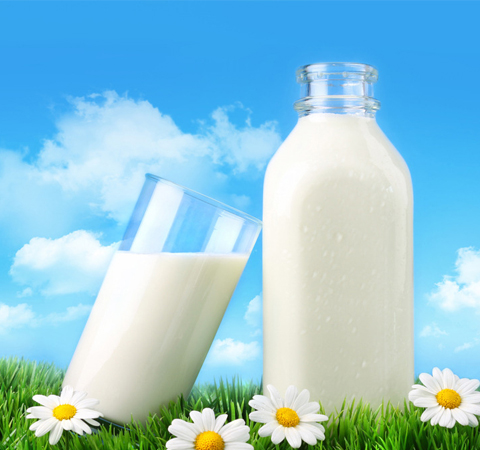 結(jié)論令人大吃一驚 純牛奶好還是酸奶好