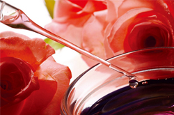 玫瑰精油的功效作用與使用方法介紹