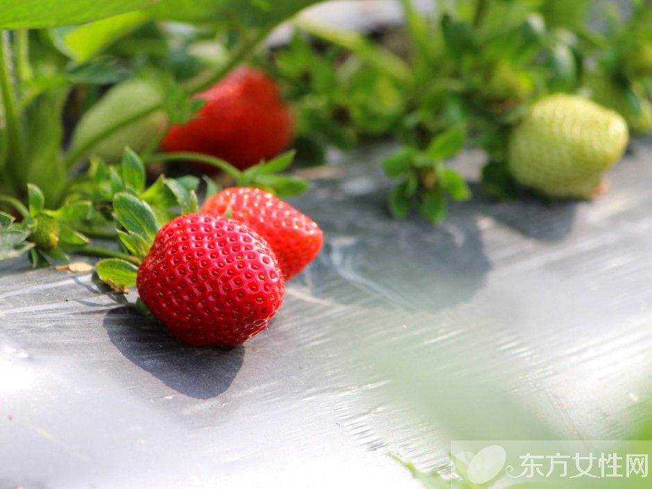 手術(shù)后吃什么水果好 這五種水果吃了對(duì)身體好