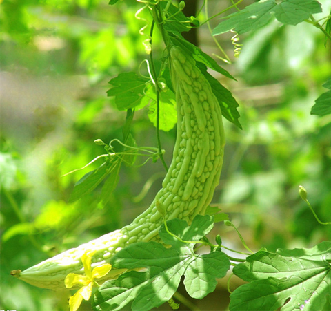 舒適過(guò)夏天 謹(jǐn)記夏季保健小常識(shí)