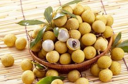 龍眼的營養(yǎng)價值 龍眼的營養(yǎng)吃法及功效