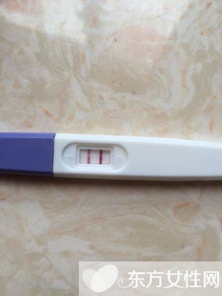 驗孕棒怎么用 驗孕棒多久能測出來