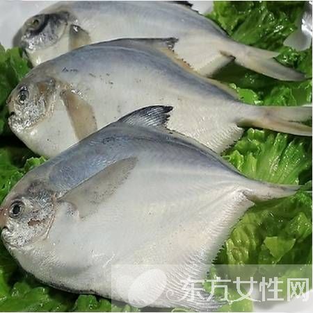 平魚的做法大全 平魚的選購還有這講究