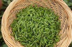 龍井是綠茶嗎？龍井茶的作用介紹