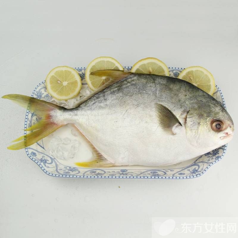 平魚的做法大全 平魚的選購還有這講究