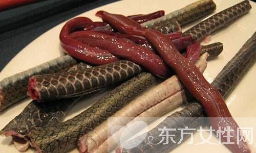 蛇肉的營(yíng)養(yǎng)價(jià)值有哪些 水蛇兩燉淡菜的做法大公開(kāi)
