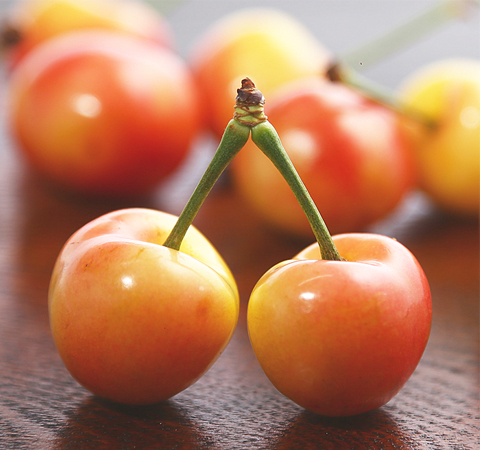 認(rèn)真了解 冬季生活知識(shí)有哪些