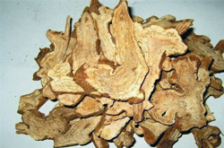 美白祛斑 白術(shù)的美容功效介紹