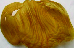 雞內金的功效與作用及禁忌