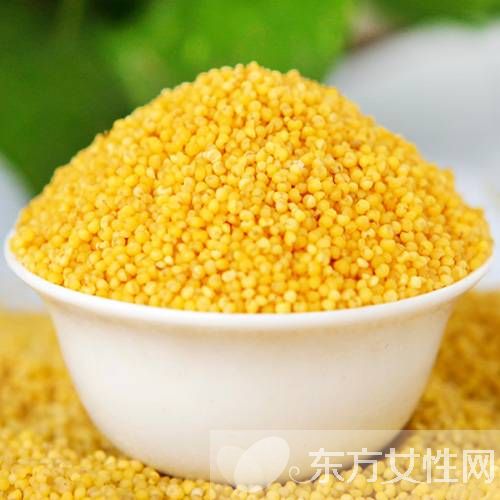 小米的功效與作用 小米怎么做好吃